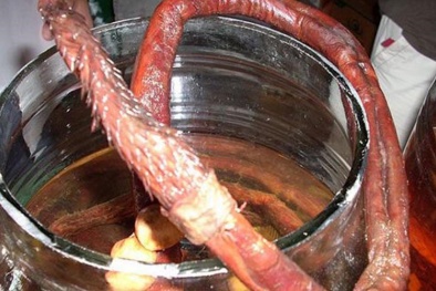 Tiền mất tật mang vì níu kéo bản lĩnh đàn ông bằng 'pín cọp'